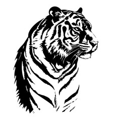 tiger animal images
