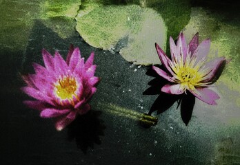 Purple lotus flower oil painting style, known in Indonesia as Seroja.