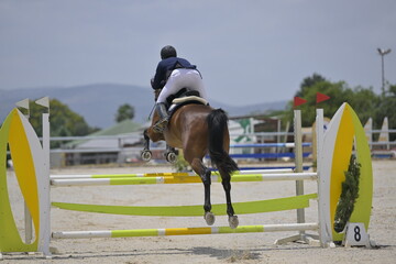 The rider on horse jumping over a hurdle during the equestrian