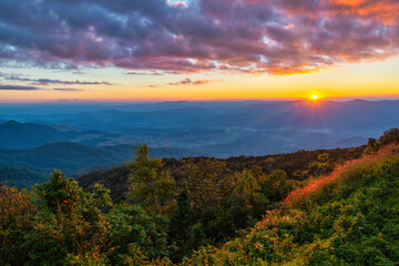 Fototapeta na wymiar Tropical forest nature landscape sunset view with mountain range at Doi Inthanon, Chiang Mai Thailand