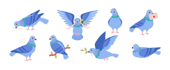 Set of blue pigeons flat style, vector illustration