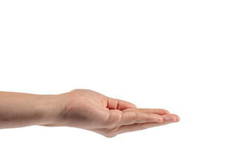Hand of woman showing thumb-up gesture on transparent background
