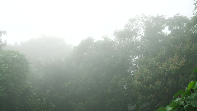 八幡山展望台から見える福井市 霧 濃霧 晴れる途中