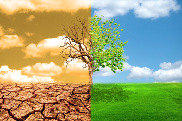 The concept of impacts of climate change and the environment
