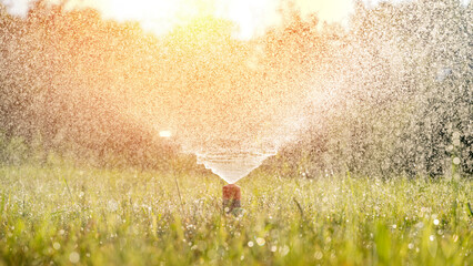 automatic lawn watering in the sun