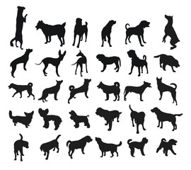 Sketch of black silhouettes of dogs in poses. Outline of pets go, standing, running, jumping, training, walking, guarding, posing, play, showing