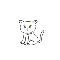 Kitten