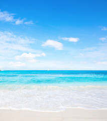 Tropical white sand beach and blue sky at summer sunny day.  Idyllic tropical beach scene. 