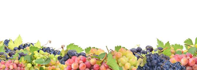 Grape fruit isolated