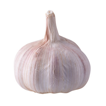 Close up raw garlic isolated on a transparent background