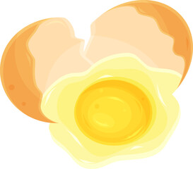 color vector illustration of a broken egg, proper nutrition, fried eggs, chicken egg, eggshell