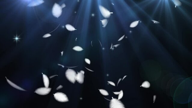 舞い落ちる羽と差し込む光のCG動画