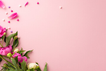 Peony's beauty concept. Above view photo of empty space with bunch of bright pink and white peony flowers and buds with small confetti hearts on isolated pastel pink background with copy-space © ActionGP