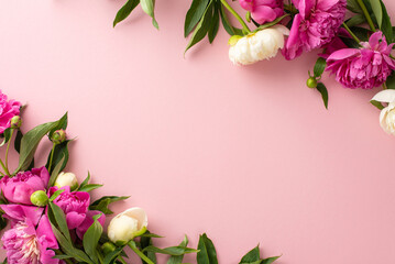 Obraz na płótnie Canvas Tender peonies concept. Top view photo of empty space with bright pink and white peony flowers and buds on isolated pastel pink background with copy-space