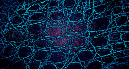 Texture of colored alligator skin. Background of natural crocodile leather.