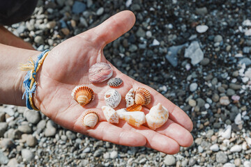 Hand with seashells found on the sea shore