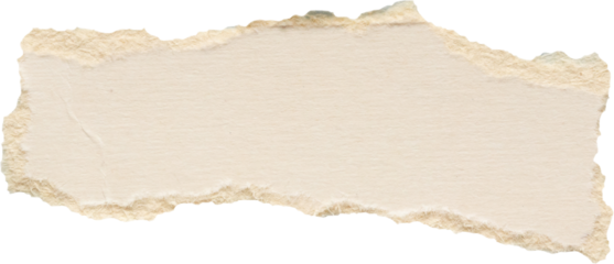 piece of white paper tear isolated on white background
