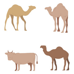 Sacrifice animals silhouette set illustration. Vector bundle of animals for sacrifice. vector illustration