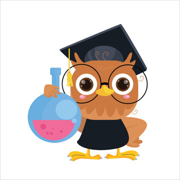 vector cartoon illustration of a cute owl doing laboratory research
