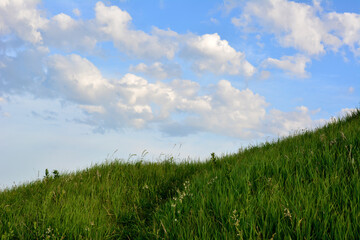 Obraz na płótnie Canvas green hill with grass and cloudscape on horizon 