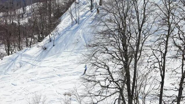 Tourists snowboarding together on snowy mountain slope surrounded with trees. Travellers enjoy visiting and spending holiday on ski resort drone view