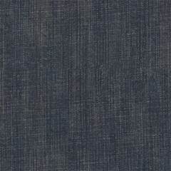 Fototapeta na wymiar blue jeans texture