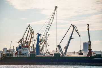 Container terminal, with cranes, in a commercial port