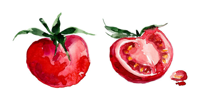 Watercolor image of a red tomato on a white background. half a tomato with seeds and green leaves and a whole fruit.