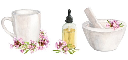 White mortar for chopping herbs and thyme flowers, ceramic mug, aromatic oil. Watercolor illustration. Preparation of herbal tea, tonic. The concept of herbal medicine, laboratory or label design.