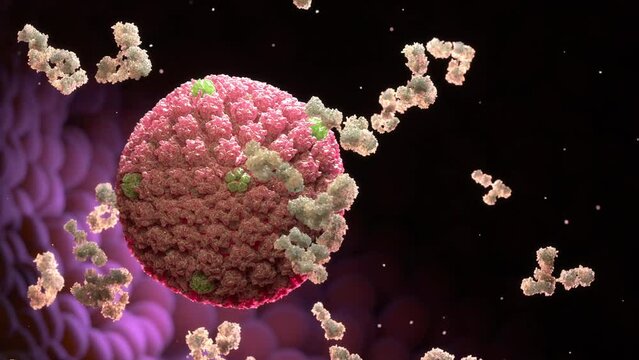 Herpes virus and antibodies, Viral infection. 3d animation