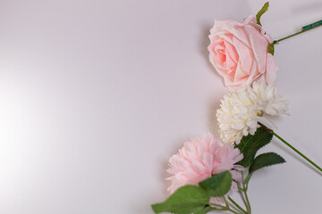 Obraz premium Top view of floral composition frame made of pink roses, white and pink chrysanthemums on a white background
