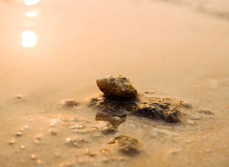 beach sunset