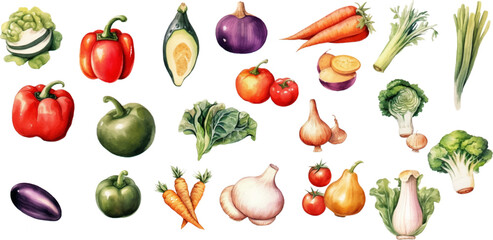 Set of watercolor mixed vegetables Easy to draw, white background 