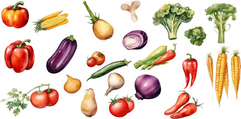 Set of watercolor mixed vegetables Easy to draw, white background 