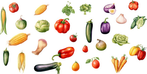 Set of watercolor mixed vegetables Easy to draw, white background 
