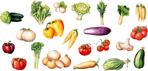Set of watercolor mixed vegetables Easy to draw, white background 