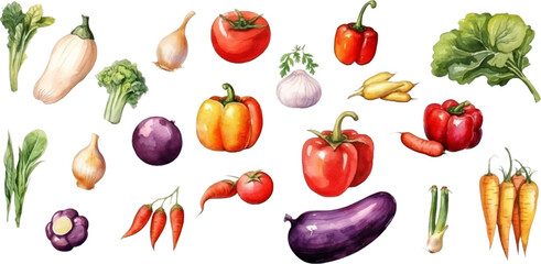 Set of watercolor mixed vegetables Easy to draw, white background 