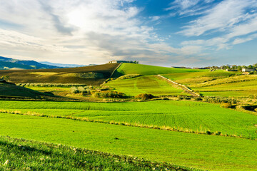 Obraz premium green field in countryside at sunset in the evening light. beautiful spring landscape in the mountains. grassy field and hills. rural scenery