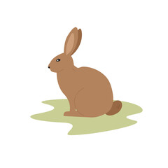 Wild hare is sitting on the grass. Flat minimalistic graphic of fluffy bunny. Vector illustration.