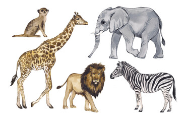 Obraz na płótnie Canvas Watercolor set of African animals isolated on white background. Giraffe, lion, elephant, zebra, meerkat. Safari realistic animals, tropics. Children's products, baby's room, decor, nursery design.