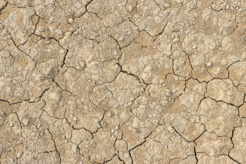 texture with pebbles closeup Old asphalt as a background