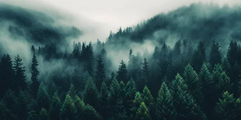 Fototapete Fantasielandschaft Misty landscape with fir forest in vintage retro style. Generative AI
