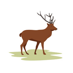 Wild forest deer with antlers stands on the lawn. Flat minimalistic deer graphic. Vector illustration