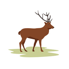 Fototapeta premium Wild forest deer with antlers stands on the lawn. Flat minimalistic deer graphic. Vector illustration