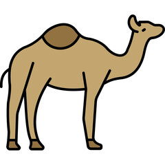 Camel

