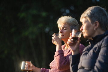 Happy senior middle aged mom drinking tea at home and chatting, relaxing on sofa in living room, enjoying cup of coffee together, talking and laughing. Family relationships