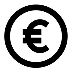 euro sign icon