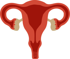 Human Female Reproductive Organ