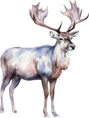 Obraz na płótnie Canvas Caribou Deer Watercolor Illustration. Generative AI