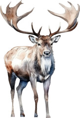 Naklejka na ściany i meble Caribou Deer Watercolor Illustration. Generative AI